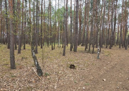 działka na sprzedaż - Wyszków (gw), Świniotop